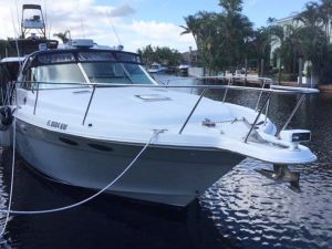 Cruiser Boat (Per Hour)