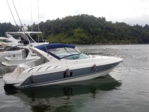 Cruiser Boats (Per Hour)
