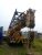 100 tons Crane