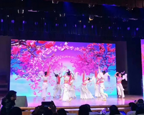 LED Mega Screen (24×12)ft